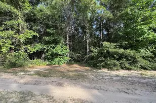 95 Red Wolf Ln, Brookeland, TX 75931 - Photo 1