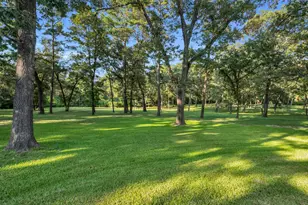 10195 Crown Ranch Blvd Blvd, Montgomery, TX 77316 - Photo 45