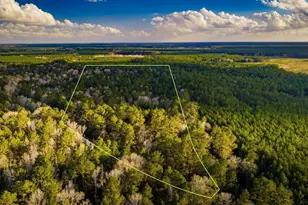 001 Holly Grove Rd, Livingston, TX 77351 - Photo 1