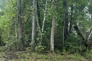 13181 Royal Springs Rd, Conroe, TX 77303 - Photo 7