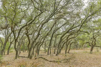 1089 County Road 120, Hallettsville, TX 77964 - Photo 9