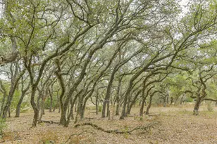 1089 County Rd 120, Hallettsville, TX 77964 - Photo 9