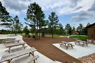 26795 Frontier Trace Drive, Montgomery, TX 77316 - Photo 21