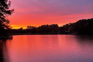 251 County Rd, Goodrich, TX 77335 - Photo 41