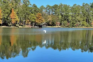 251 County Rd, Goodrich, TX 77335 - Photo 37