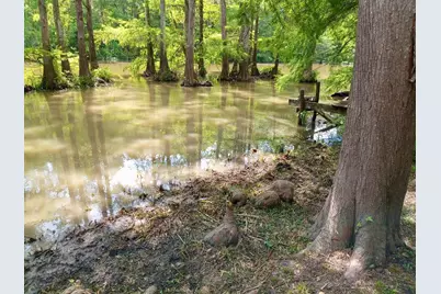 234 County Road 2870, Cleveland, TX 77327 - Photo 13