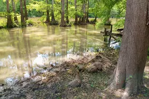 234 Co Rd 2870, Cleveland, TX 77327 - Photo 13