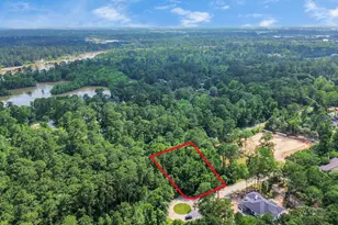 22 Majestic Falls Dr, Kingwood, TX 77339 - Photo 1