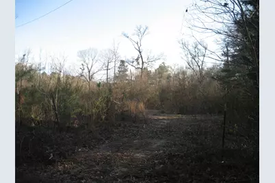 892 County Rd 1850, Grapeland, TX 75844 - Photo 7