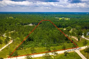 Tba Red Lowe Rd, Livingston, TX 77351 - Photo 1