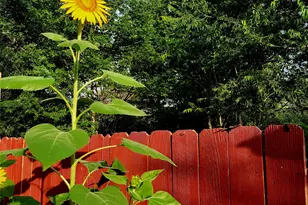 2707 Teakwood Ct, College Station, TX 77845 - Photo 39