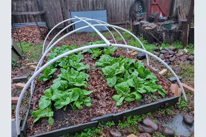 2707 Teakwood Court, College Station, TX 77845 - Photo 37