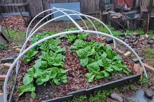 2707 Teakwood Ct, College Station, TX 77845 - Photo 37