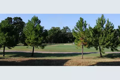 16020 Fountainview Drive #17, Montgomery, TX 77356 - Photo 17