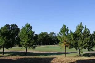 16020 Fountainview Dr, Montgomery, TX 77356 - Photo 17