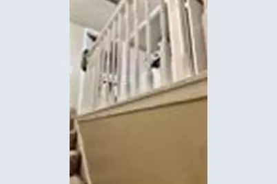 6200 W Tidwell Road #1304, Houston, TX 77092 - Photo 3