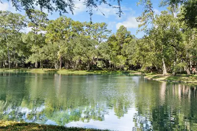 336 Litchfield Lane, Houston, TX 77024 - Photo 33