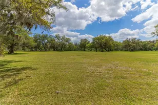 4239 County Rd 348, Brazoria, TX 77422 - Photo 11