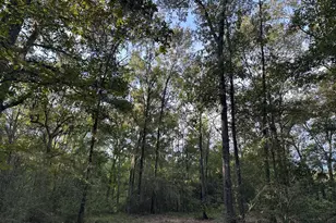 0 Buck Creek Dr, Shepherd, TX 77371 - Photo 1
