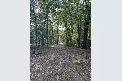 0 Buck Creek Drive, Shepherd, TX 77371 - Photo 3