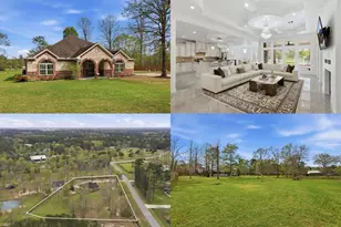 9942 Ramzi Dr, Conroe, TX 77303 - Photo 1