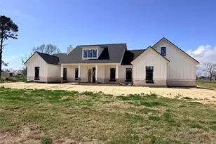 610 Blueberry Ln, Cove, TX 77523 - Photo 1