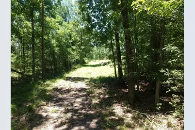 5183 Felix Currie Road, Point Blank, TX 77364 - Photo 9