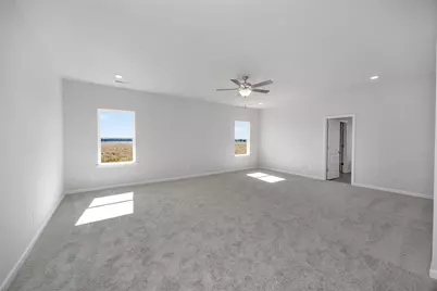 13302 Hayden Peak Drive, Iowa Colony, TX 77583 - Photo 11