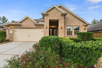 120 Crinium Lily Court, Montgomery, TX 77316 - Photo 3