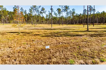 Lot 20 Big Buck Drive, Moscow, TX 75960 - Photo 1