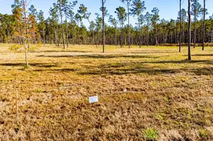 Lot 20 Big Buck Dr, Moscow, TX 75960 - Photo 1