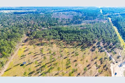 Lot 20 Big Buck Drive, Moscow, TX 75960 - Photo 5