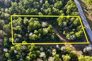 10662 Ruger Rd, Willis, TX 77378 - Photo 3