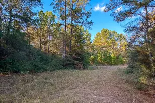 10662 Ruger Rd, Willis, TX 77378 - Photo 7