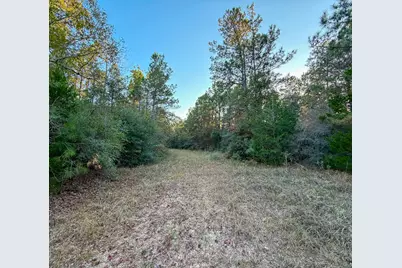 10662 Ruger Road, Willis, TX 77378 - Photo 13