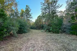 10662 Ruger Rd, Willis, TX 77378 - Photo 13