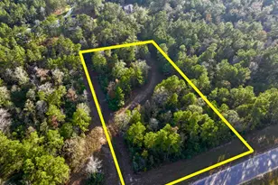 10662 Ruger Rd, Willis, TX 77378 - Photo 1