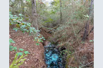 10662 Ruger Road, Willis, TX 77378 - Photo 15