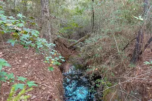 10662 Ruger Rd, Willis, TX 77378 - Photo 15