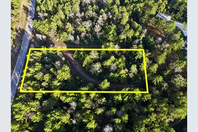 10662 Ruger Road, Willis, TX 77378 - Photo 5