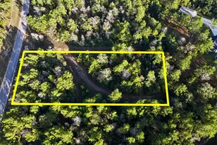 10662 Ruger Rd, Willis, TX 77378 - Photo 5