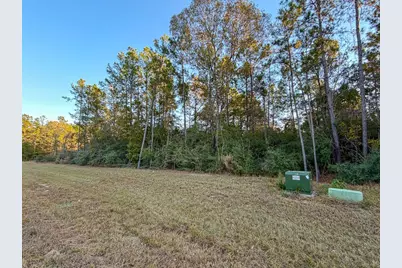 10662 Ruger Road, Willis, TX 77378 - Photo 11