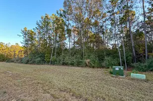 10662 Ruger Rd, Willis, TX 77378 - Photo 11