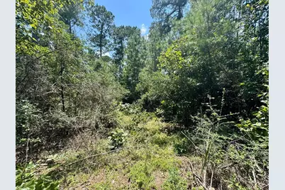 Tbd Lakeland Ranch Lot 290, Hillister, TX 77624 - Photo 11