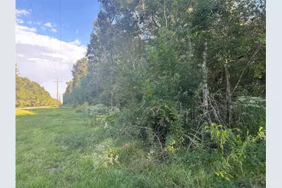 Tract 45, 46 Tx-61 Pr 117, Devers, TX 77538 - Photo 3