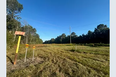 Tract 45, 46 Tx-61 Pr 117, Devers, TX 77538 - Photo 9