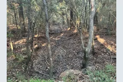 Tract 45, 46 Tx-61 Pr 117, Devers, TX 77538 - Photo 5