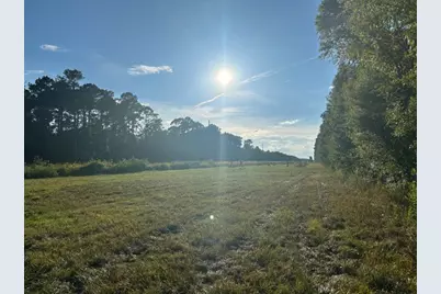 Tract 45, 46 Tx-61 Pr 117, Devers, TX 77538 - Photo 11