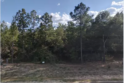 126 Exploration Road, New Waverly, TX 77358 - Photo 1