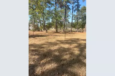 27814 Jean Street, Spring, TX 77373 - Photo 5